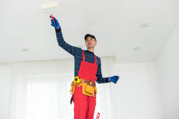 Best Mold Damage Restoration  in Dale, IN