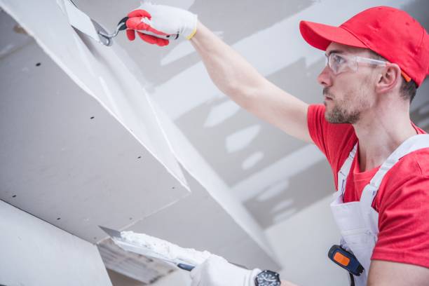 Best Mold Removal for HVAC Installations  in Dale, IN